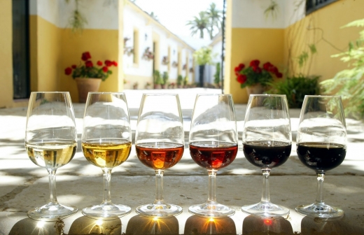 Vinos de Málaga