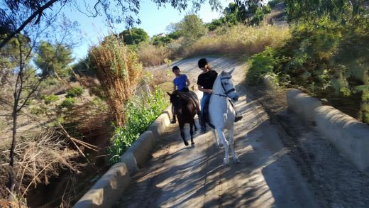 Horse Riding